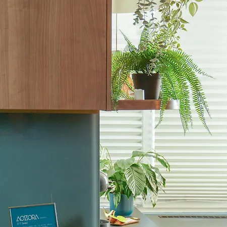 Aozora *