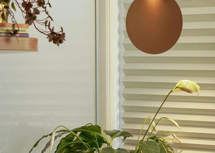 Aozora Appartement *